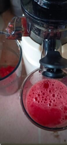 Pocket Juicer photo review