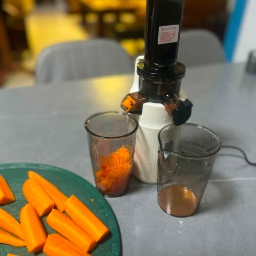 Pocket Juicer photo review